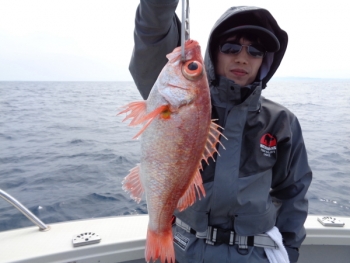 鯛紅丸 釣果