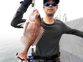 鯛紅丸 釣果