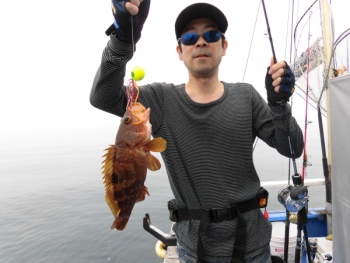 鯛紅丸 釣果