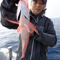 鯛紅丸 釣果