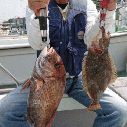 第二ゆず丸 釣果