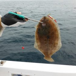 開進丸 釣果