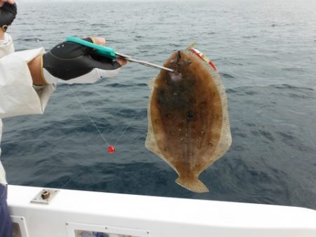 開進丸 釣果