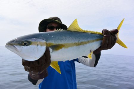 ジギング船 BLUEWATER 釣果