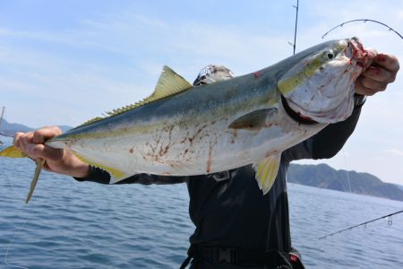 ジギング船 BLUEWATER 釣果