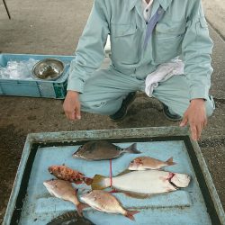 明神釣船 釣果