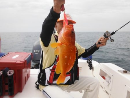 開進丸 釣果