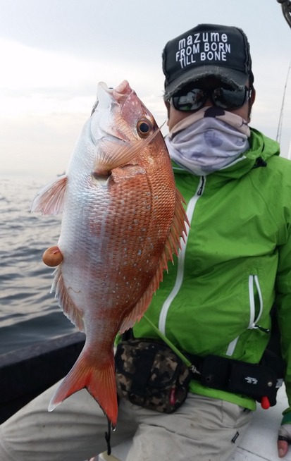 めだか屋 釣果