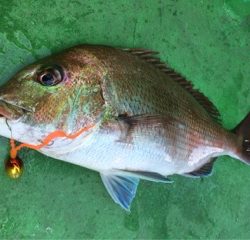 利弥丸（としやまる） 釣果