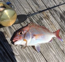 利弥丸（としやまる） 釣果