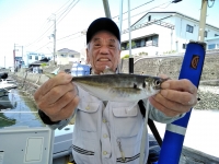 おおせき丸 釣果