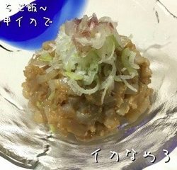 太田屋 釣果