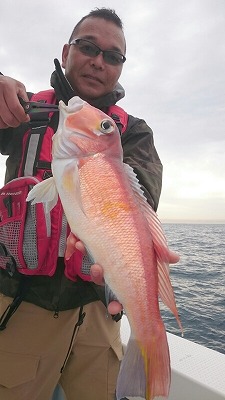 海龍丸（福岡） 釣果