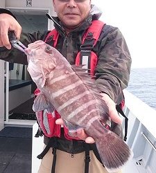 海龍丸（福岡） 釣果