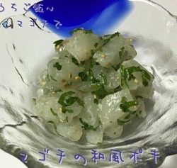 太田屋 釣果