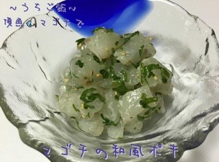 太田屋 釣果