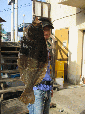 荒川屋 釣果