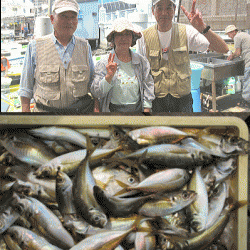 荒川屋 釣果