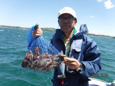 川崎丸 釣果