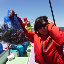 川崎丸 釣果