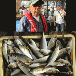 荒川屋 釣果