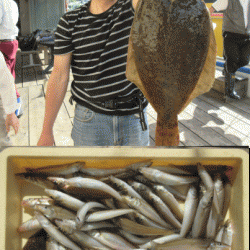 荒川屋 釣果