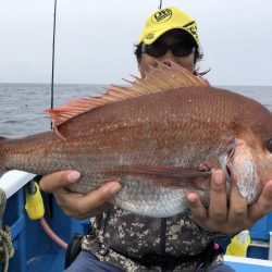 長栄丸(千葉) 釣果