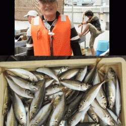 荒川屋 釣果