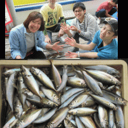 荒川屋 釣果