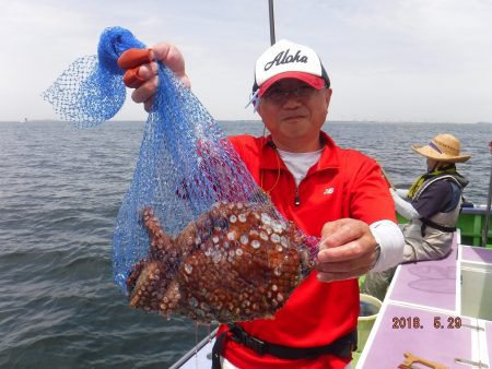 川崎丸 釣果