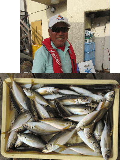 荒川屋 釣果