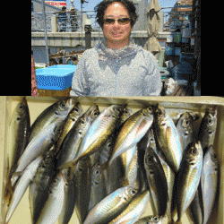 荒川屋 釣果