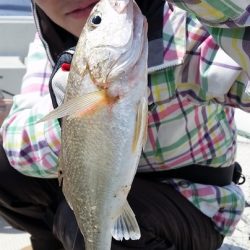 めだか屋 釣果