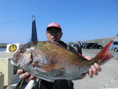 大進丸（新潟） 釣果