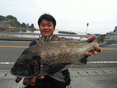 宮島丸 釣果