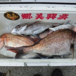 大進丸（新潟） 釣果