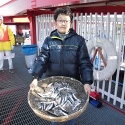 尼崎市立魚つり公園 釣果