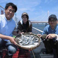 尼崎市立魚つり公園 釣果