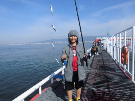 尼崎市立魚つり公園 釣果