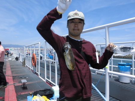 尼崎市立魚つり公園 釣果