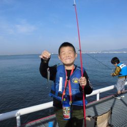 尼崎市立魚つり公園 釣果