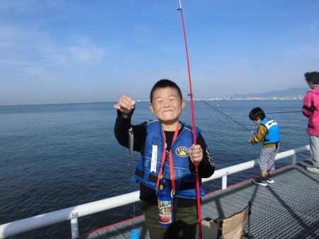 尼崎市立魚つり公園 釣果