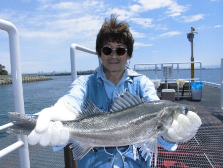 尼崎市立魚つり公園 釣果