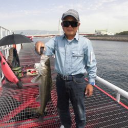 尼崎市立魚つり公園 釣果