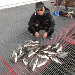 尼崎市立魚つり公園 釣果