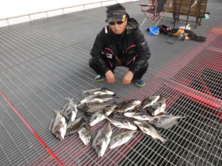 尼崎市立魚つり公園 釣果