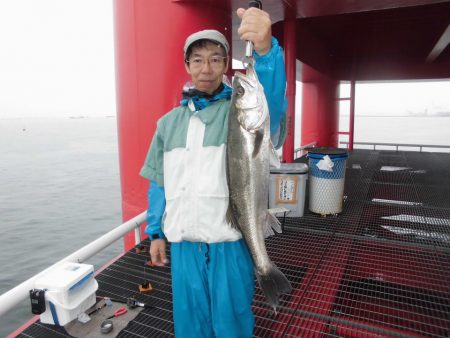 尼崎市立魚つり公園 釣果