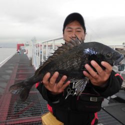 尼崎市立魚つり公園 釣果