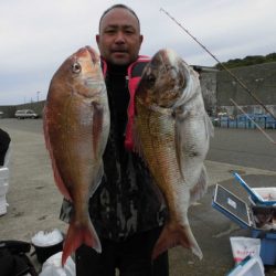 大進丸（新潟） 釣果