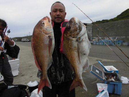 大進丸（新潟） 釣果